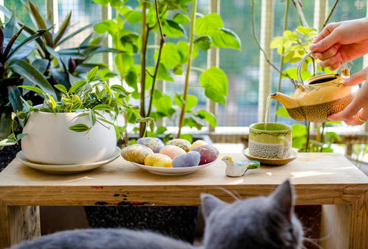 10 Essential Healthy Living Practices for a Vibrant Life