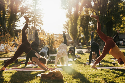 A Guide to Harmony Workouts for a Balanced Life
