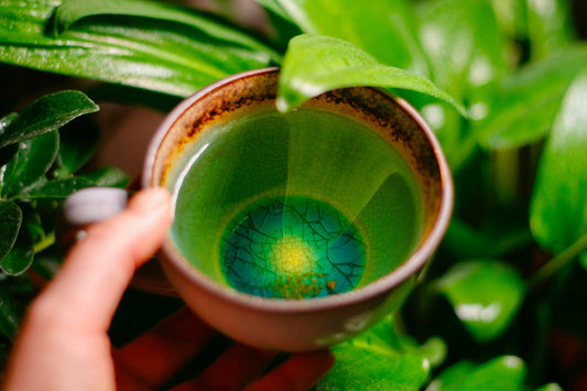 How Green Tea Can Transform Your Energy Levels