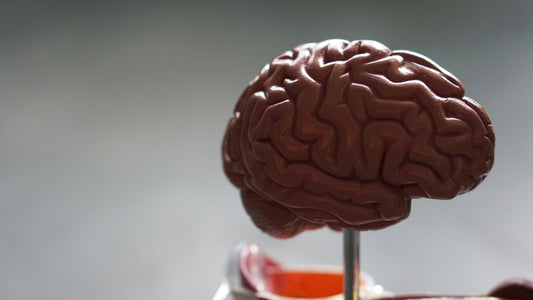 Making Your Memory and Concentration Stronger with CBD Oil