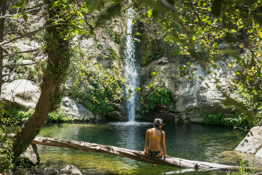 The Magic of Forest Spa Escapes in Wellness Travel