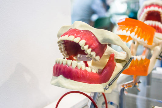 Dental Care for Kids: When Should Your Child Start Going to the Dentist?